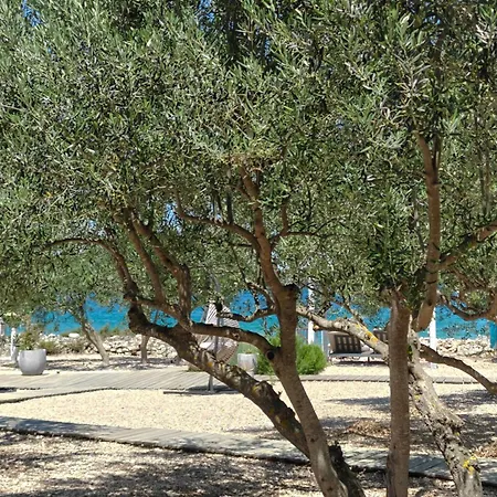 Jazine Beachvilla5 * Tisno